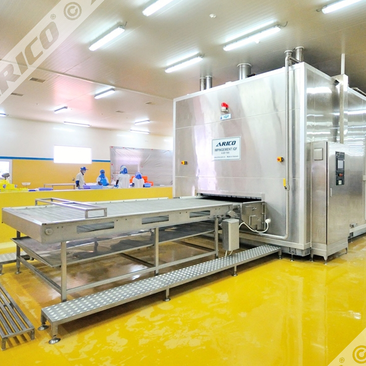 Máy IQF siêu tốc lưới